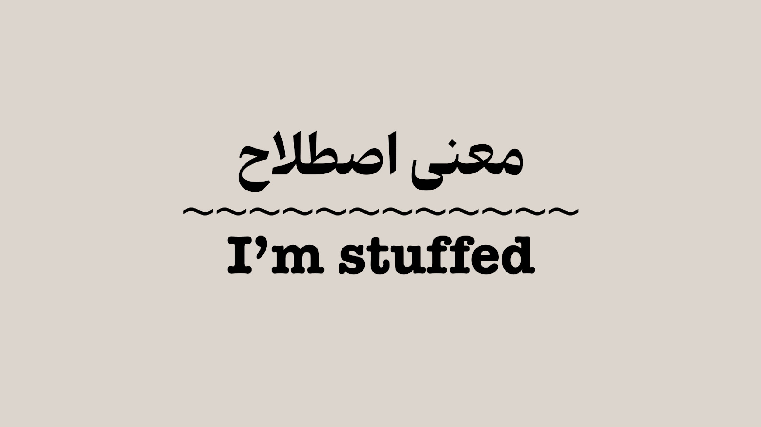 معنی اصطلاح I’m Stuffed + ویدیو