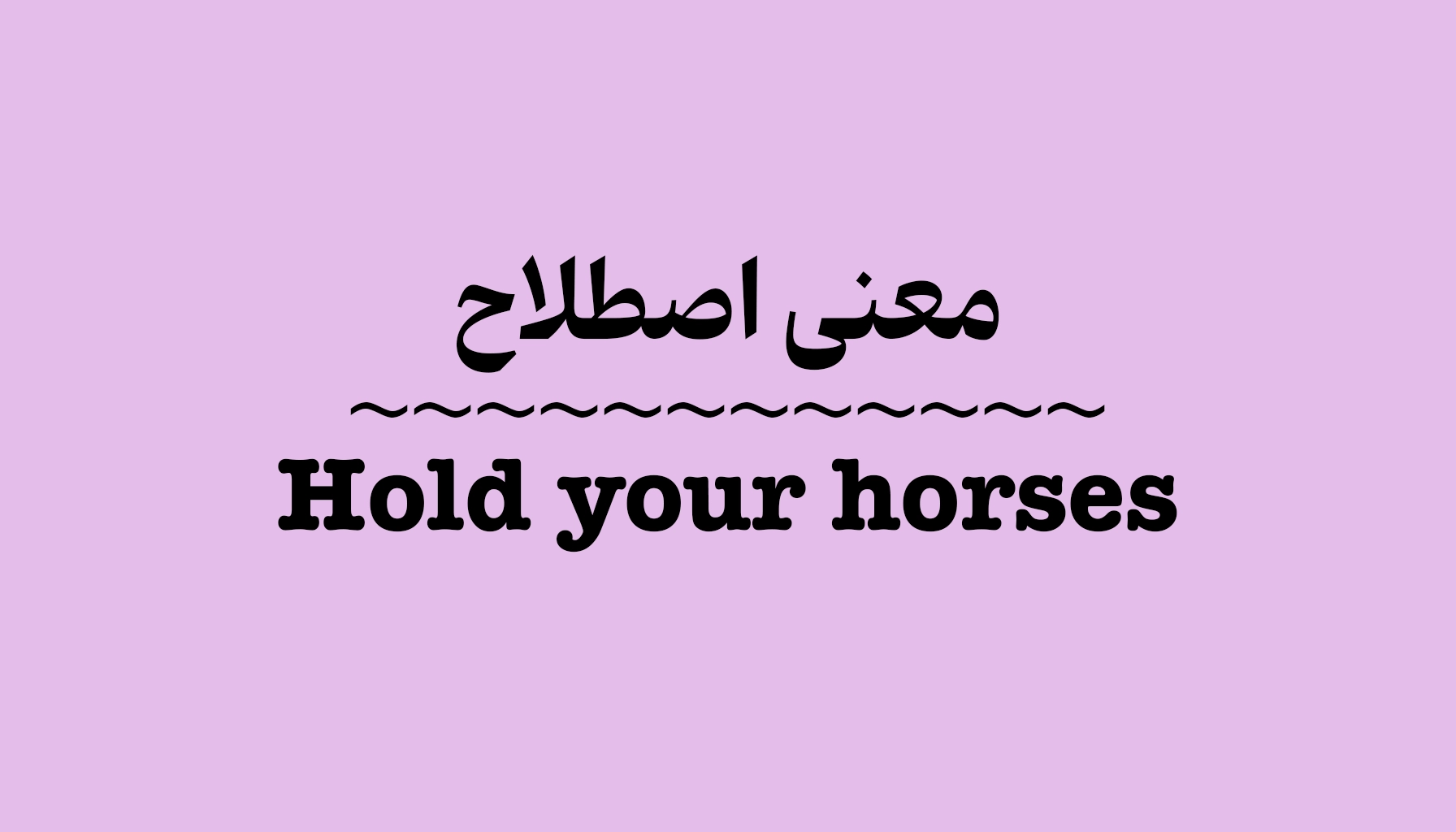 معنی و کاربرد اصطلاح Hold Your Horses