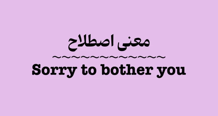 Sorry to Bother You اصطلاح