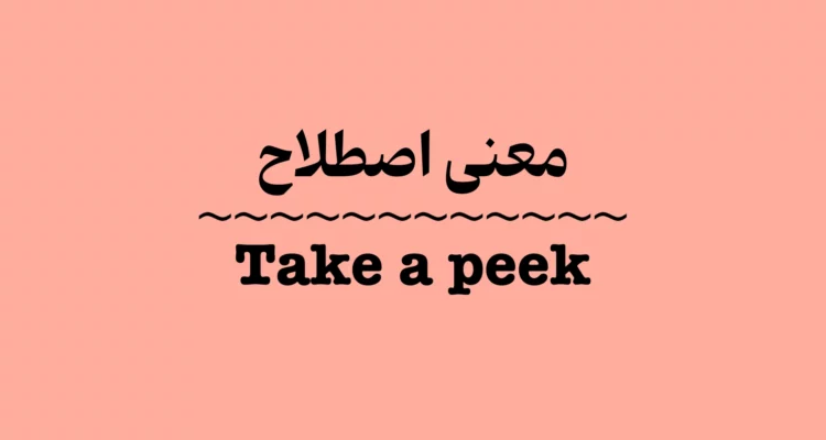 معنی و کاربرد اصطلاح Take a Peek