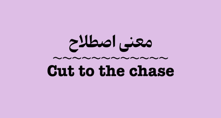 معنی اصطلاح Cut to the chase